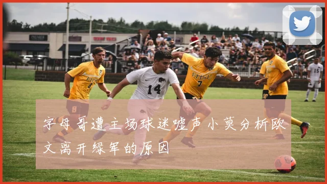 字母哥遭主场球迷嘘声小莫分析欧文离开绿军的原因
