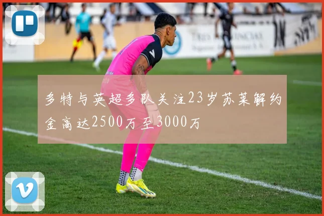 多特与英超多队关注23岁苏莱解约金高达2500万至3000万